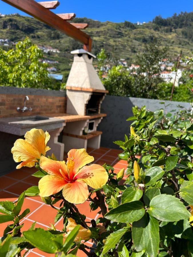 Tropical Garden Villa อาร์โกดากาเลียตา ภายนอก รูปภาพ
